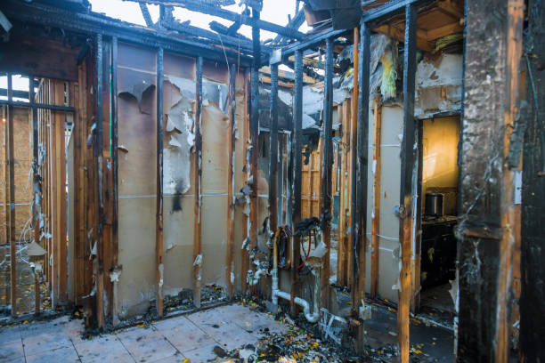 Professional Fire Damage Removal technician working in Calvert, TX